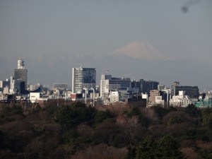 ホテルニューオータニの禅の部屋から見える富士山